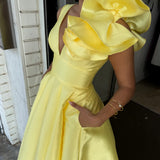 BARIANO (yellow) Mirella v neck ruffle gown