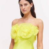 RACHEL GILBERT (Lime) Eyelar Silk Strapless Gown