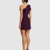 ACLER (plum) Lugano mini